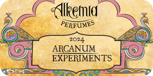 2024 Arcanum Experiments