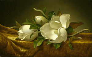 Magnolia Au Vert Perfume